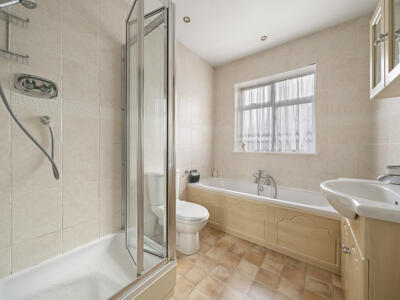 Picture 8
